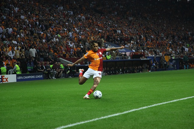 新鹏城队将于11月14日举办球迷开放日活动，今天14点开启报名