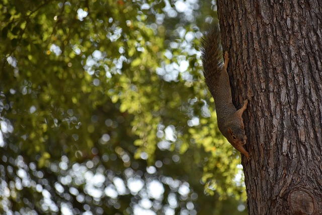 TA：萨拉赫类似C罗曼联最后时光，巨星都难接受地位被削弱